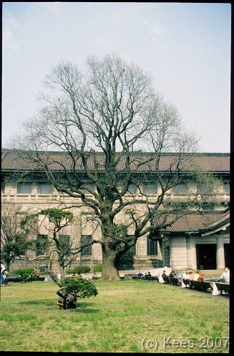 japan015 