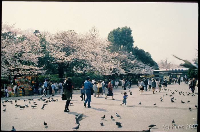 japan017 