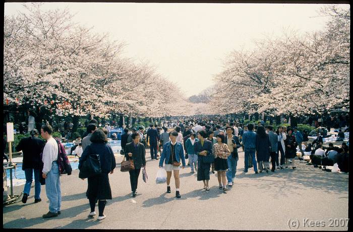 japan018 