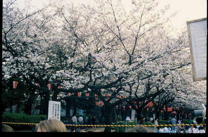 japan021 