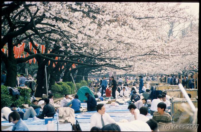japan023 