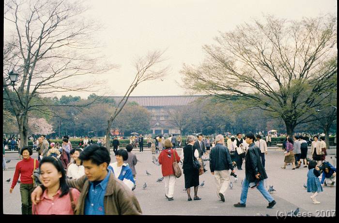 japan024 