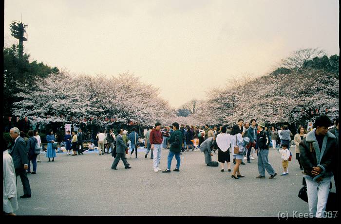 japan025 