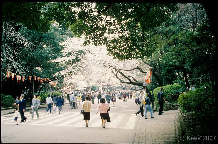 japan026 