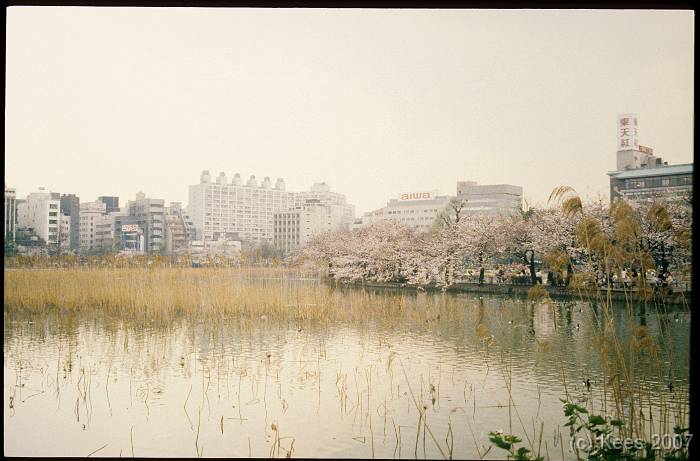 japan034 