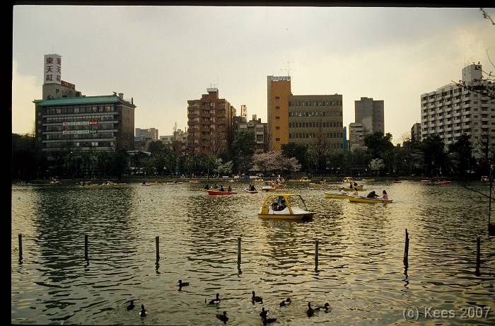 japan036 