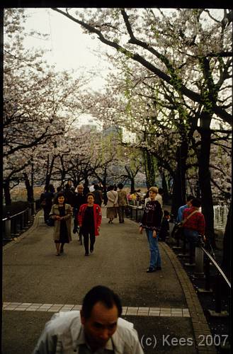 japan037 