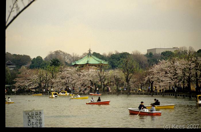 japan038 