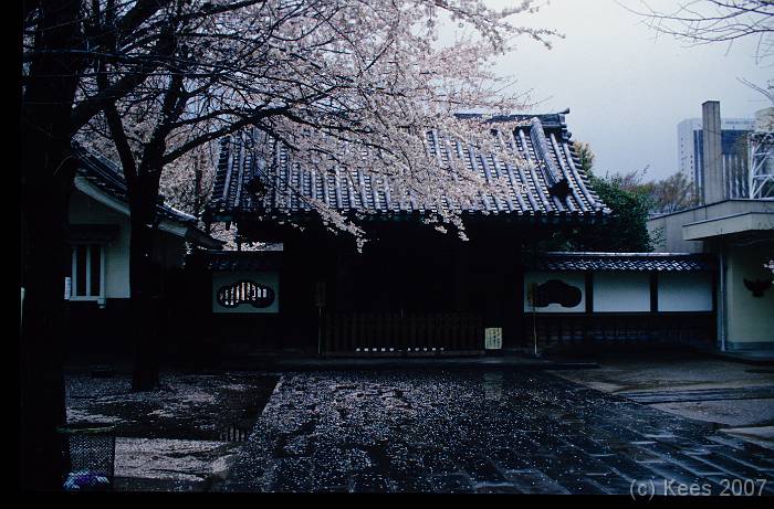 japan042 