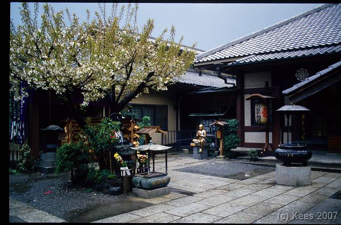 japan046 
