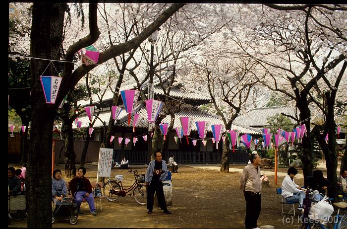 japan058 