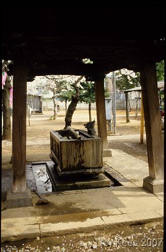 japan065 