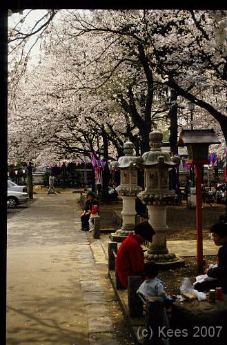 japan070 
