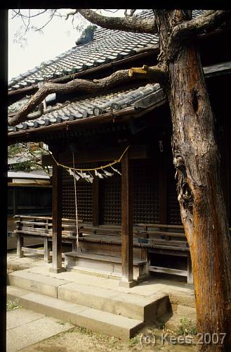 japan084 