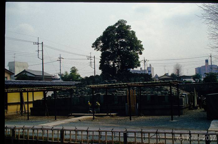 japan099 