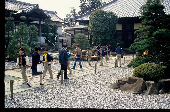 japan100 