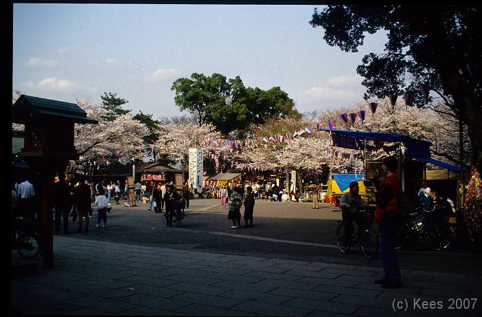 japan127 