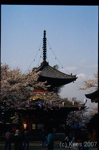 japan128 