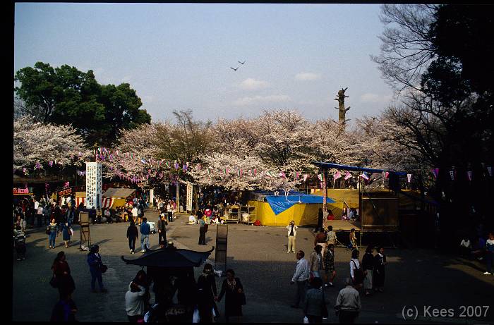 japan129 