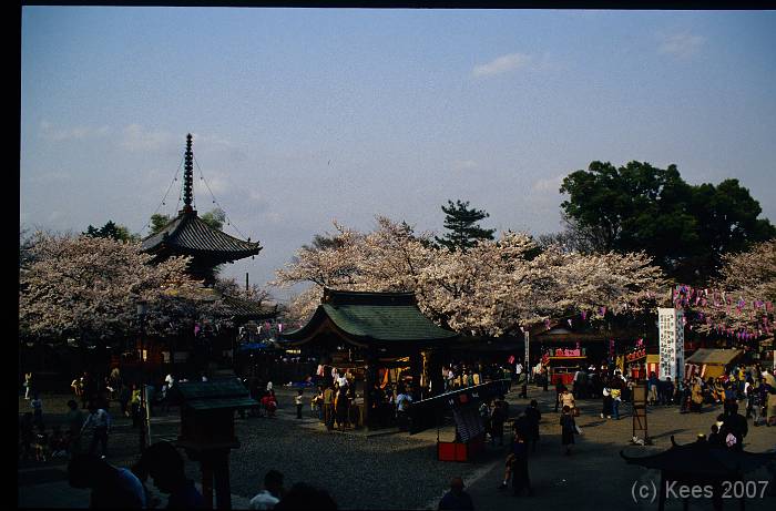 japan131 