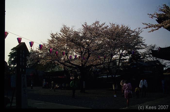 japan136 