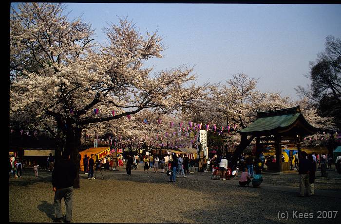 japan138 