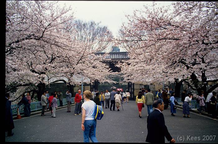 japan152 