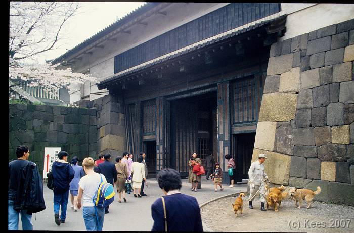japan153 