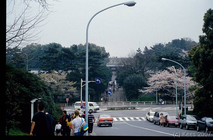 japan155 