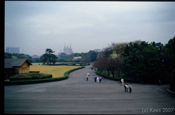 japan157 