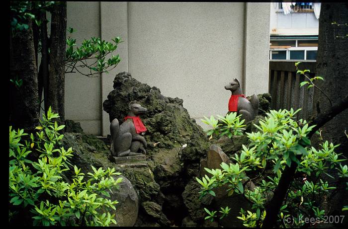 japan167 