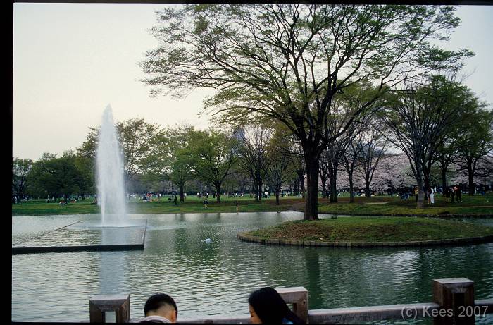 japan172 