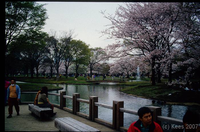 japan173 