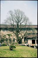 japan015 