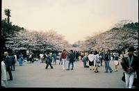 japan025 