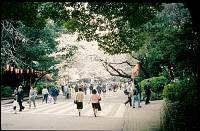 japan026 