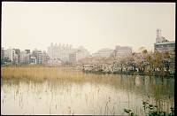 japan034 