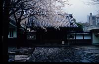 japan042 