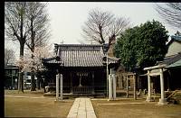 japan055 
