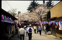 japan056 