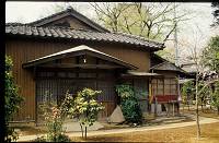 japan064 