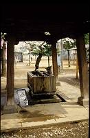 japan065 