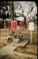 japan067 