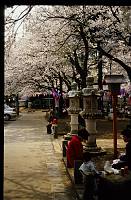 japan070 