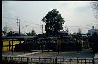 japan099 