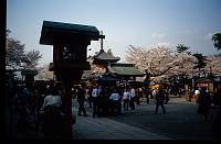 japan126