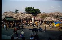 japan132 