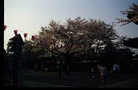 japan136 