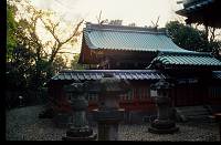 japan146 