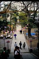 japan147 